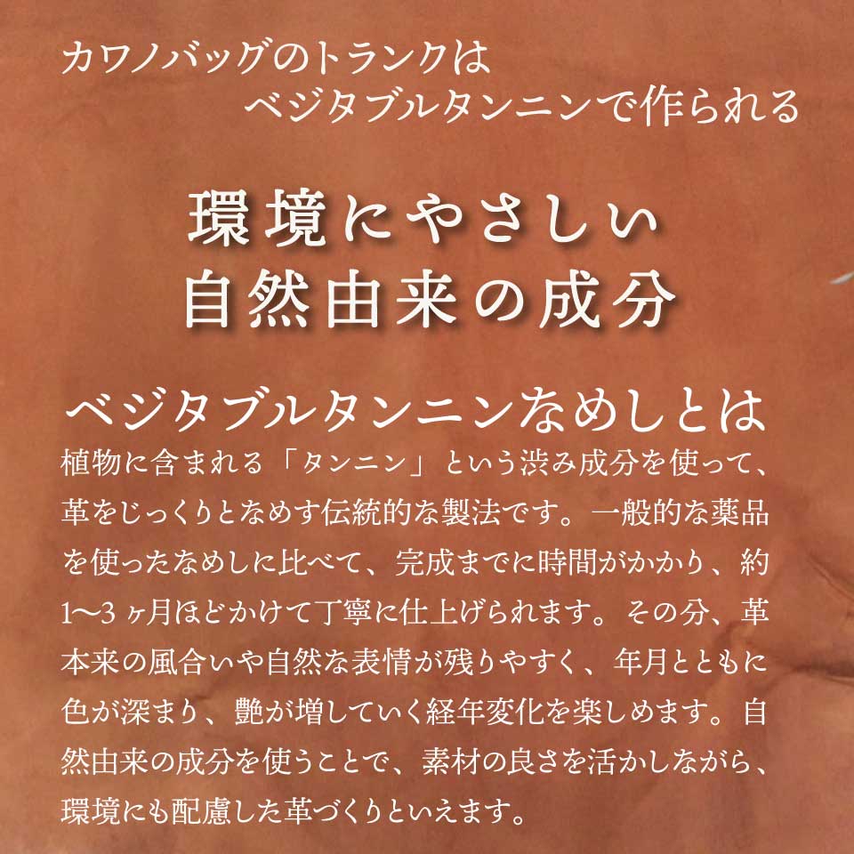 40cm_タンニンなめし