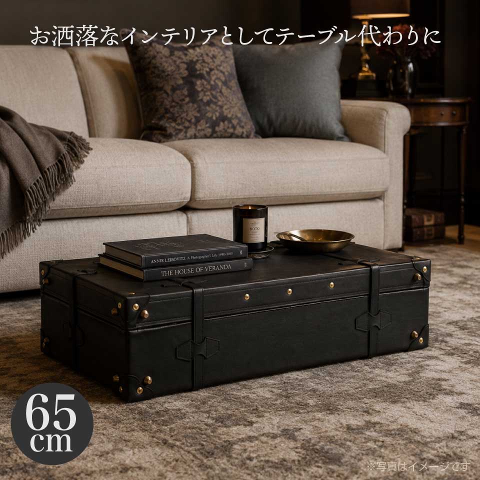 65cmブラック_インテリア